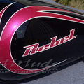 pink-pearl-rebel-lettering-white-03