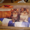 cat puzzle 2 11 2010