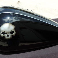 Reference s1762 - Softail Deluxe Two Tone Skull