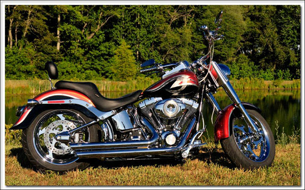 Harley-07.jpg
